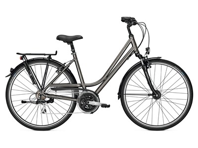 Raleigh Oakland DLX