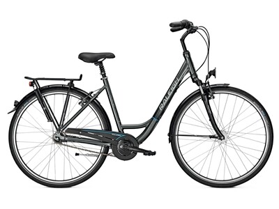 Raleigh Unico Plus