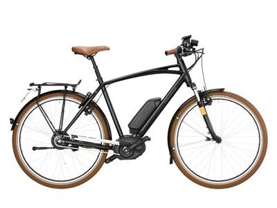 Riese und Müller Cruiser Vario