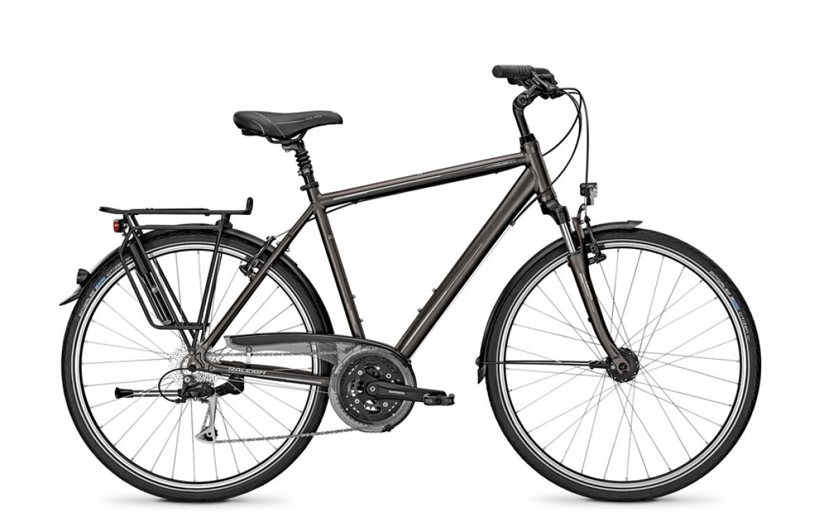 Raleigh Oakland DLX