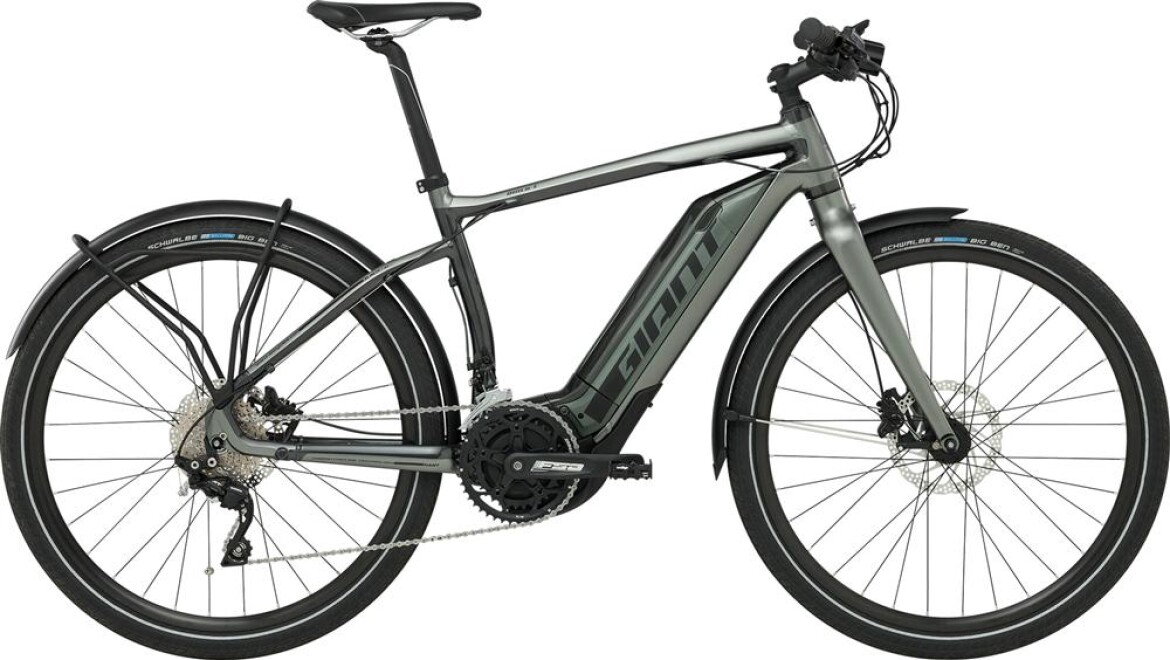 GIANT QUICK-E+ 25 LTD