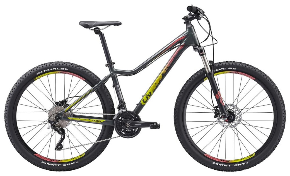 Liv TEMPT 2 LTD