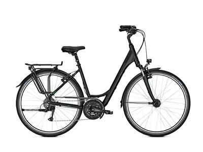 Raleigh Oakland Deluxe