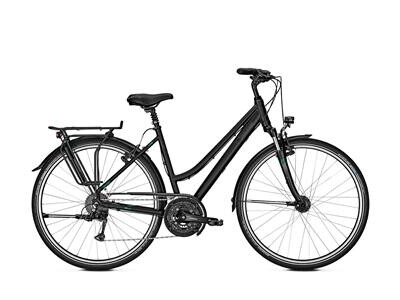 Raleigh Oakland Deluxe