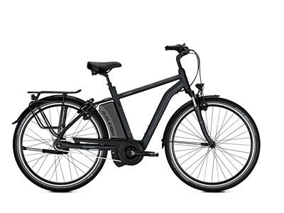 Raleigh Boston XXL