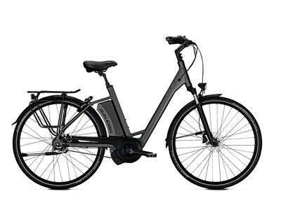 Raleigh Boston Premium