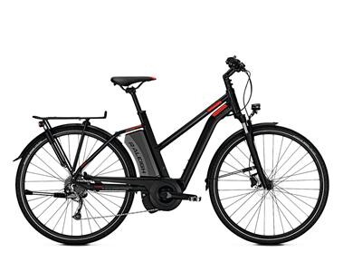 Raleigh Stoker 9