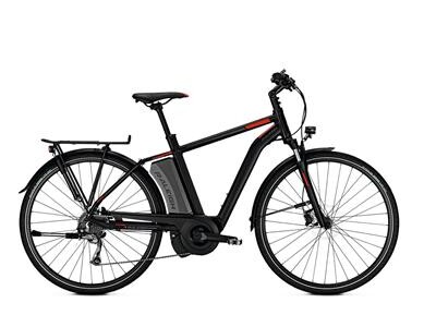 Raleigh Stoker 9