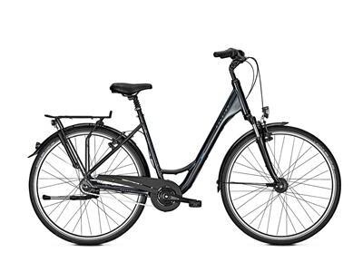 Raleigh Unico DLX