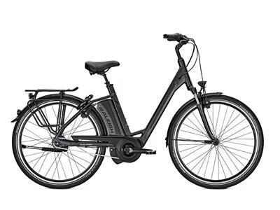 Raleigh Boston XXL