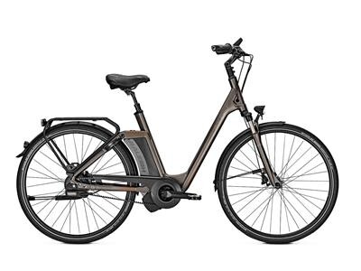 Raleigh Newgate Premium Harmony