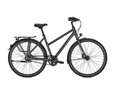 Raleigh Devon Pro