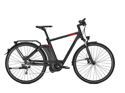 Raleigh Ashford