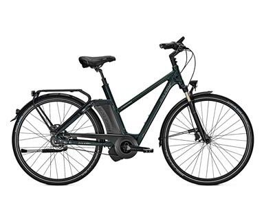 Raleigh Newgate Premium