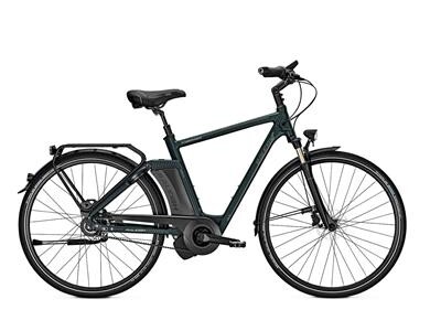 Raleigh Newgate Premium