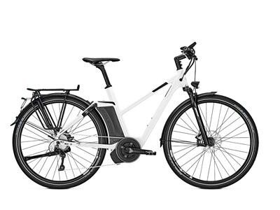 Raleigh Ashford S10