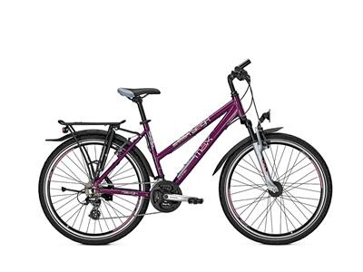 Raleigh Funmax