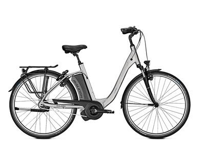Raleigh Boston 8