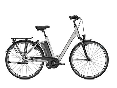 Raleigh Boston 8