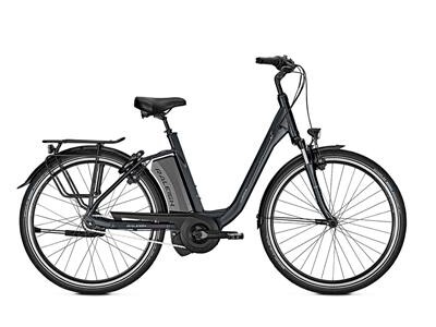 Raleigh Boston XXL