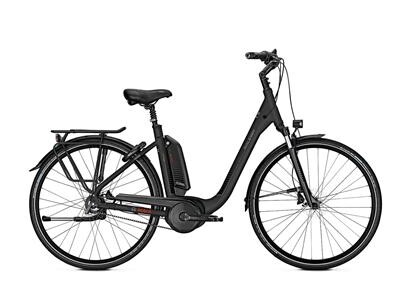Raleigh Kingston Premium