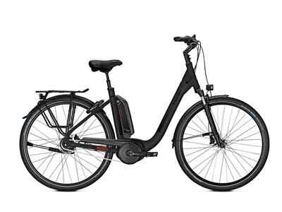 Raleigh Kingston XXL