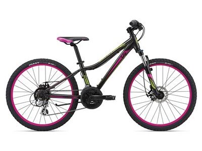 Liv GIANT LIV 24