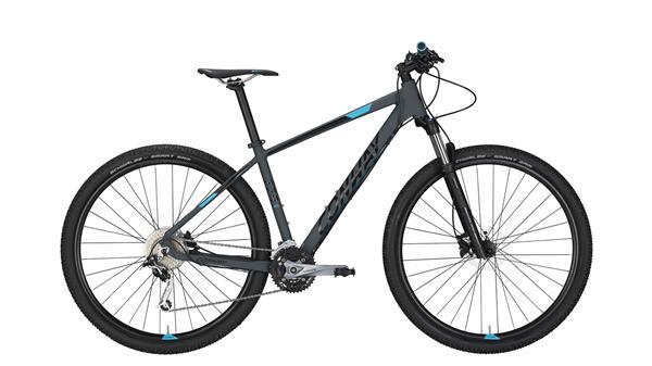 CONWAY - MS 729 -42 cm
