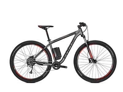 Focus Whistler2 Plus