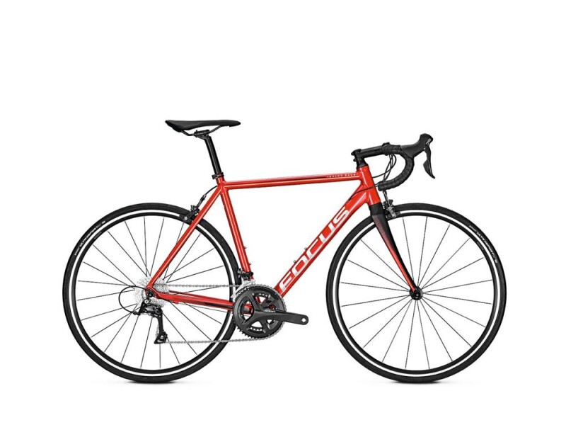Focus IZALCO RACE AL Sora