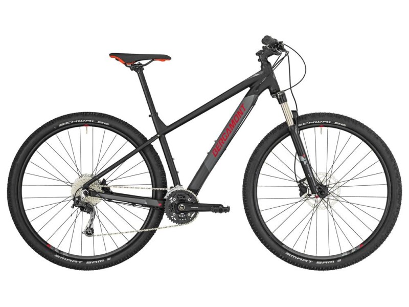 Bergamont Revox 5