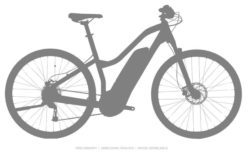 Haibike SDURO Cross 1.0 Damen E-Bike