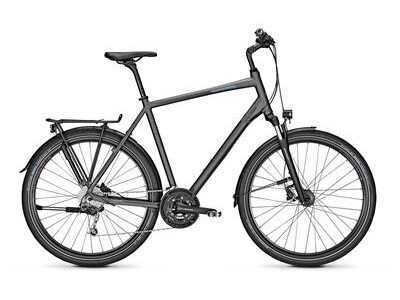 Raleigh RUSHHOUR 4.0 XXL Diamant/Trapez