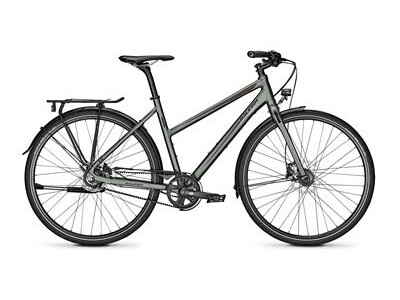 Raleigh Nightflight DLX