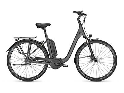 Raleigh Kingston Premium