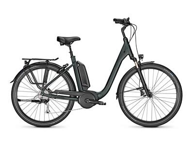 Raleigh Kingston 9 XXL