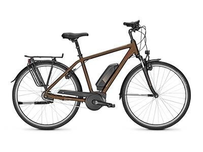 Raleigh JERSEY 8 Diamant