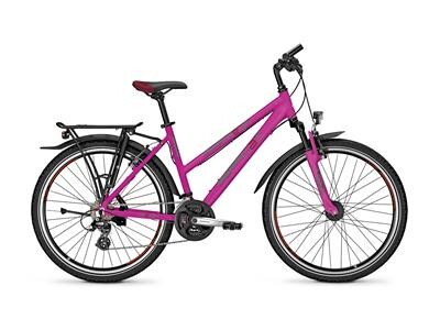 Raleigh Funmax
