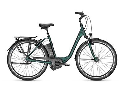 Raleigh Dover XXL