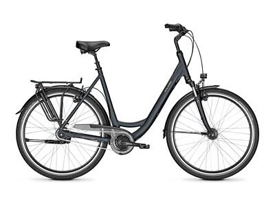 Raleigh Chester 8 XXL