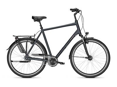 Raleigh CHESTER 8 XXL Diamant