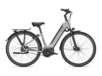 Raleigh Bristol Premium