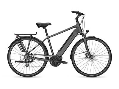 Raleigh Bristol 9