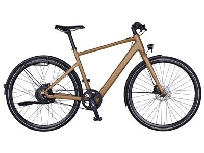 Rabeneick TX-E Urban Singlespeed Herren 50