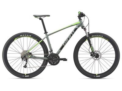 GIANT 29