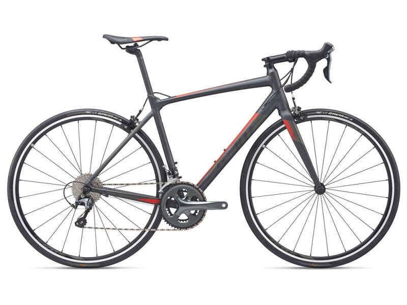 GIANT Contend SL 2