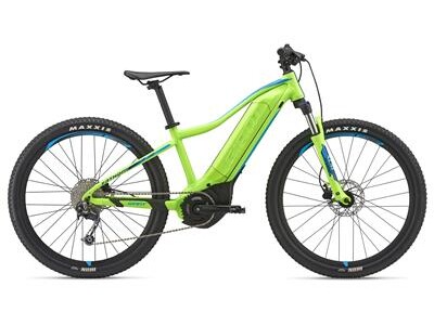 GIANT Fathom E+ Junior