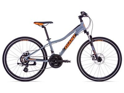 GIANT XtC jr. Disc 24