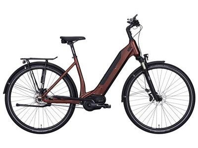 e-bike manufaktur 8cht