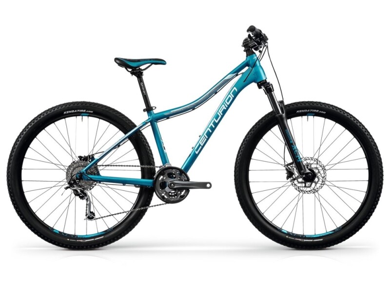 Centurion EVE Pro 200 petrol